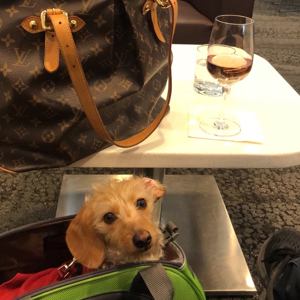 Meet your Posher, Julia